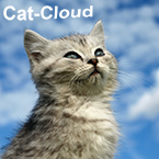 Cat Cloud von Breeder Soft